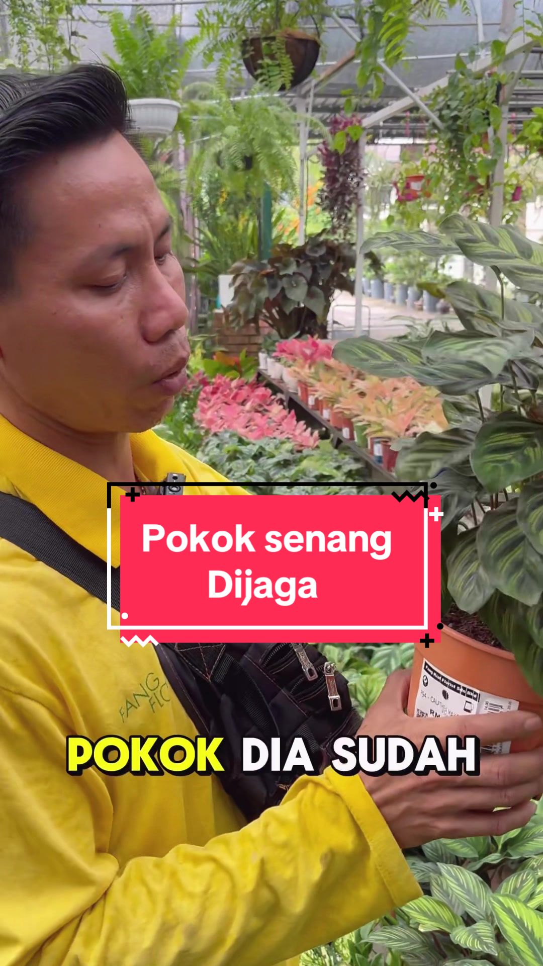 @Fang Kiat Florist Sg Buloh