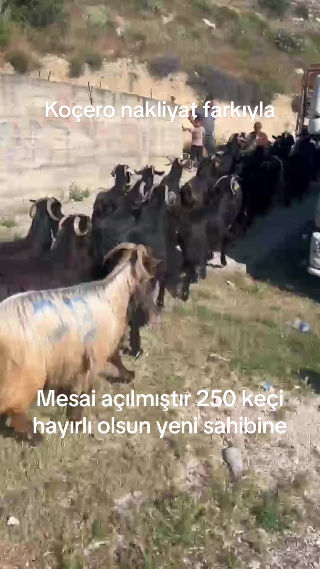 @Mehmet ÜNAL
