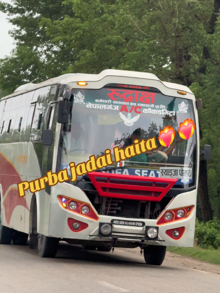 @Busesofnepal2✅️