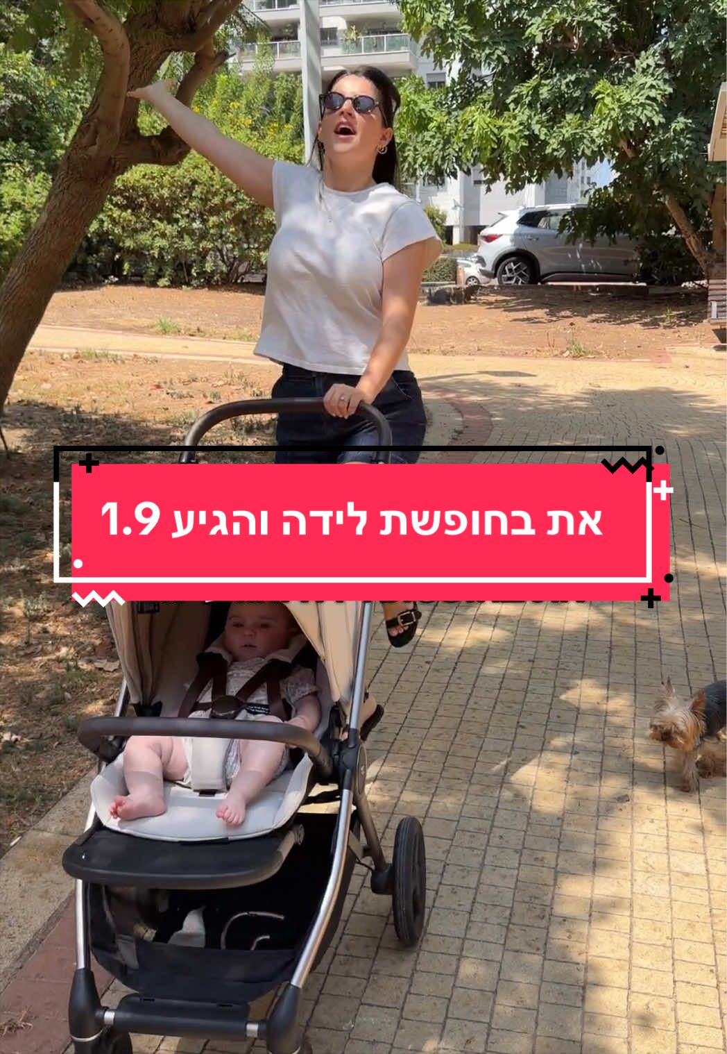 @Adi Sendik Levy