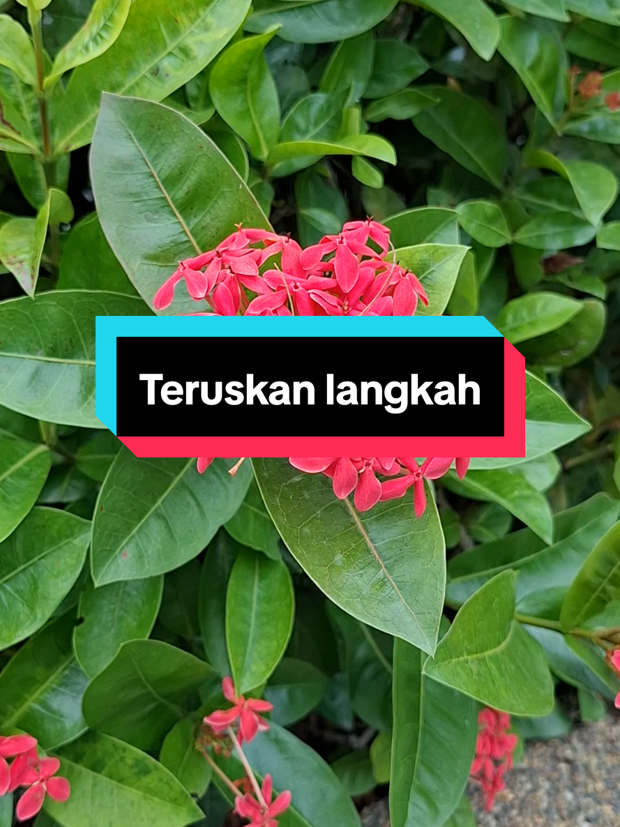 @KAKMAR YUSOFF2