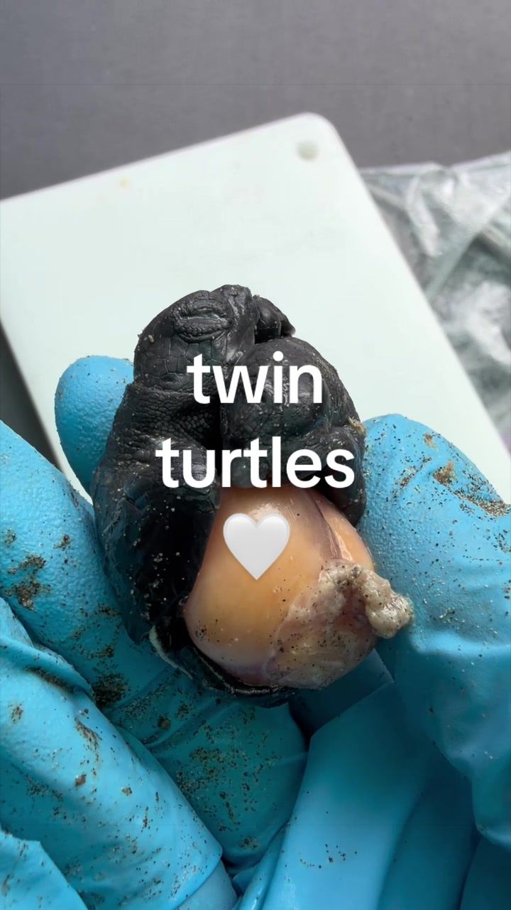 @Hannah & Haley