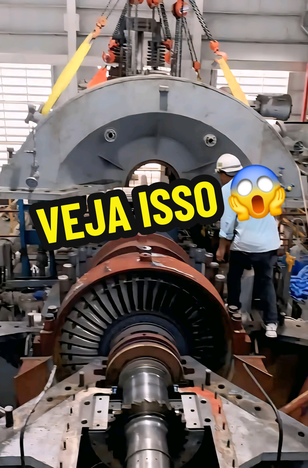 @RAIZ DO SABER