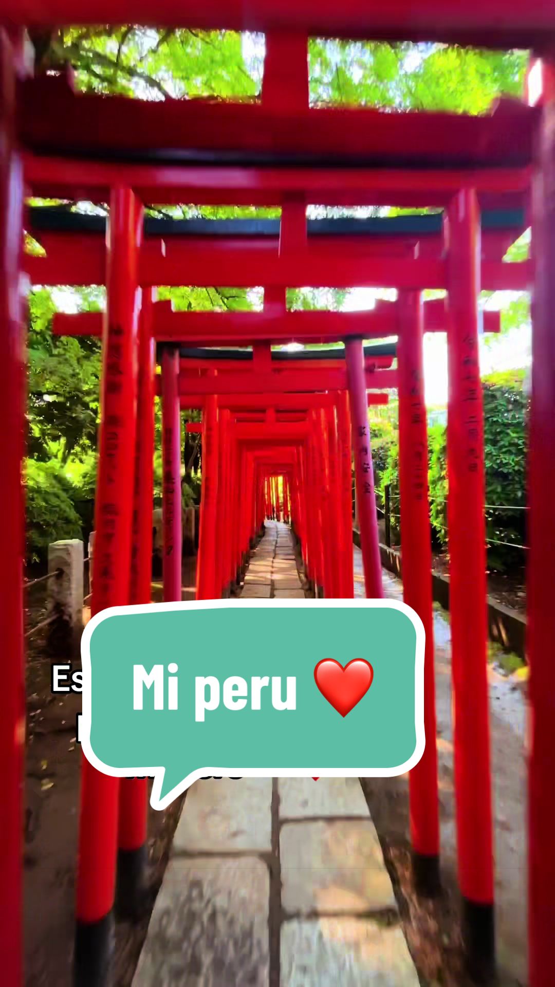 @🇵🇪Jackyhida🇯🇵