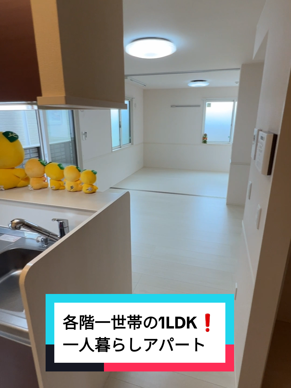 @賃貸ルームツアー♪松山市と今治市みかん不動産