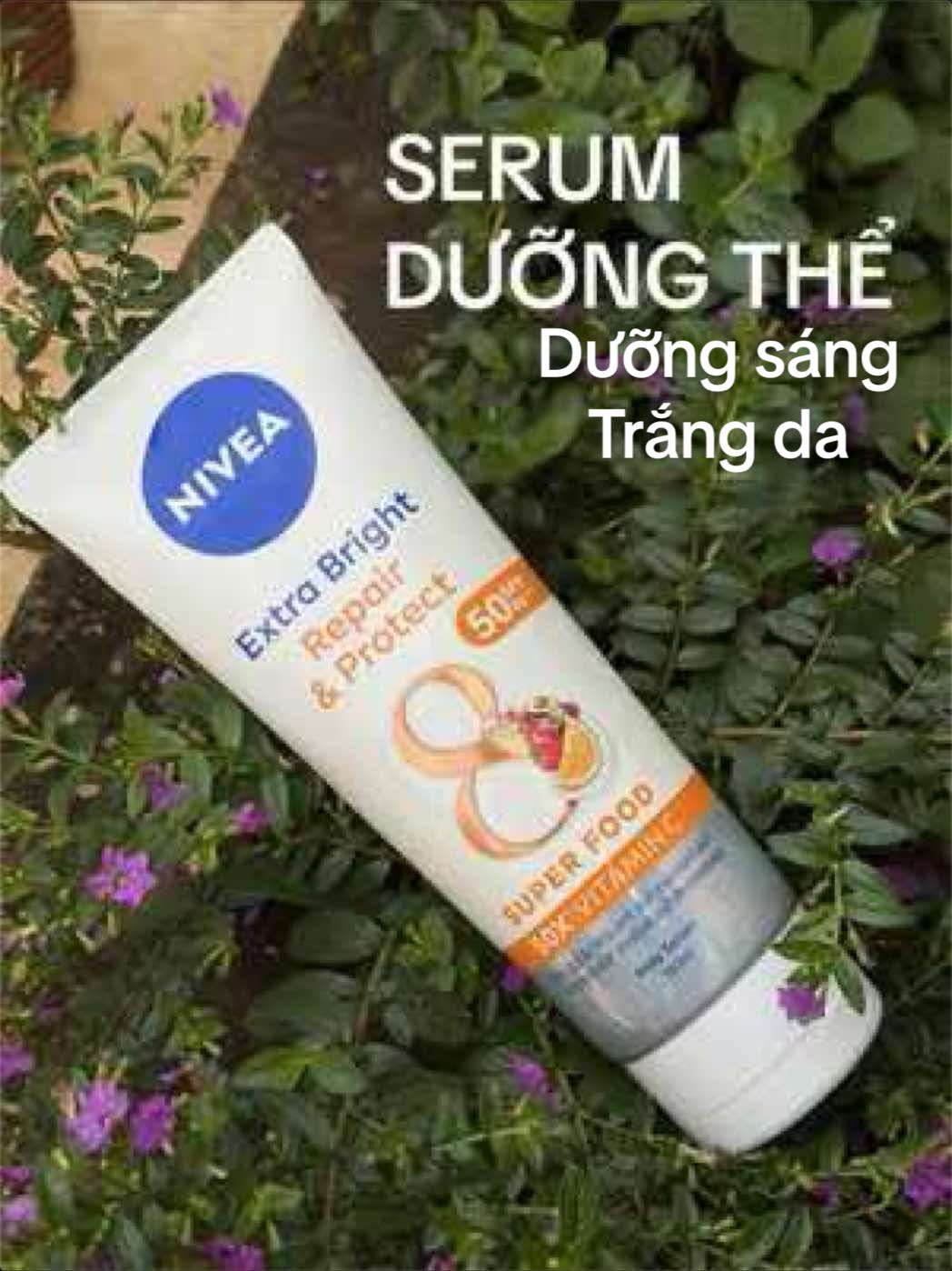 @Lì Tây Nguyên