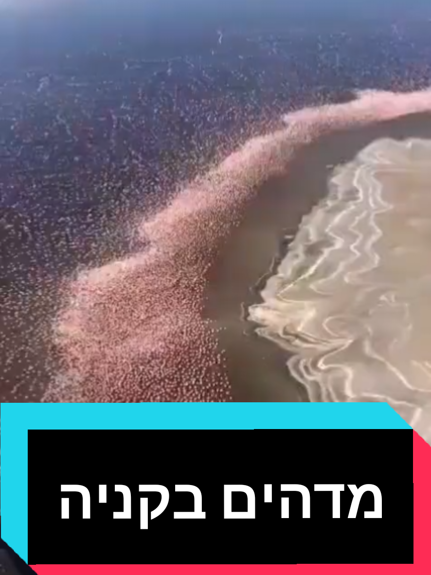 @חשיפות והדלפות ללא צנזורה