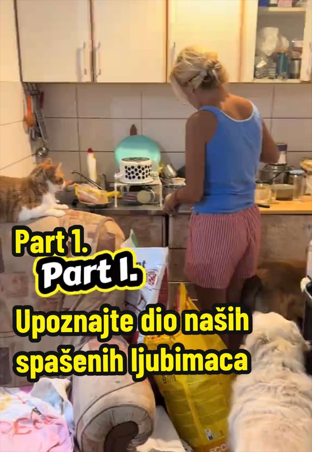 @Maja Kovijanic