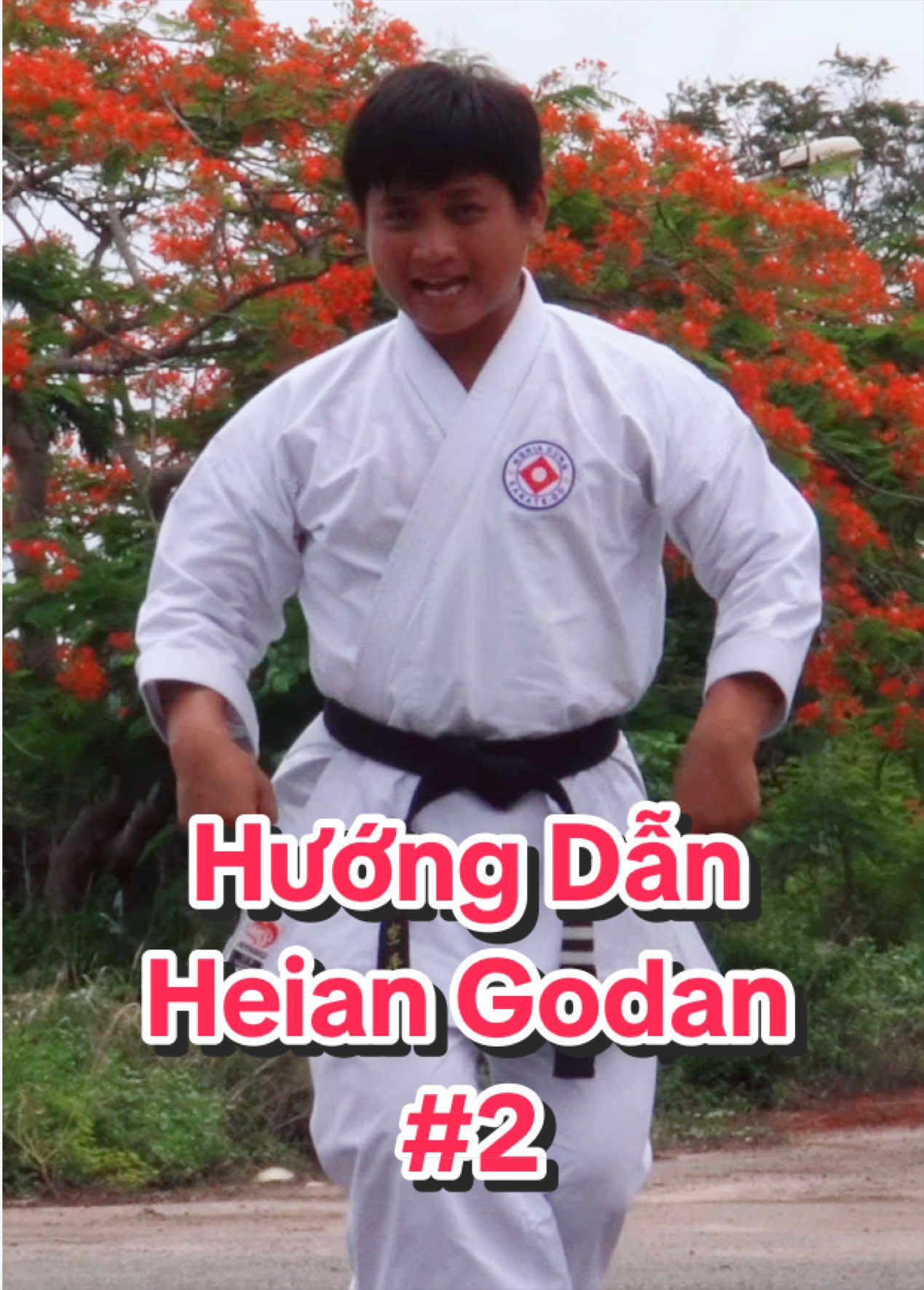 @Quang Hải NDK