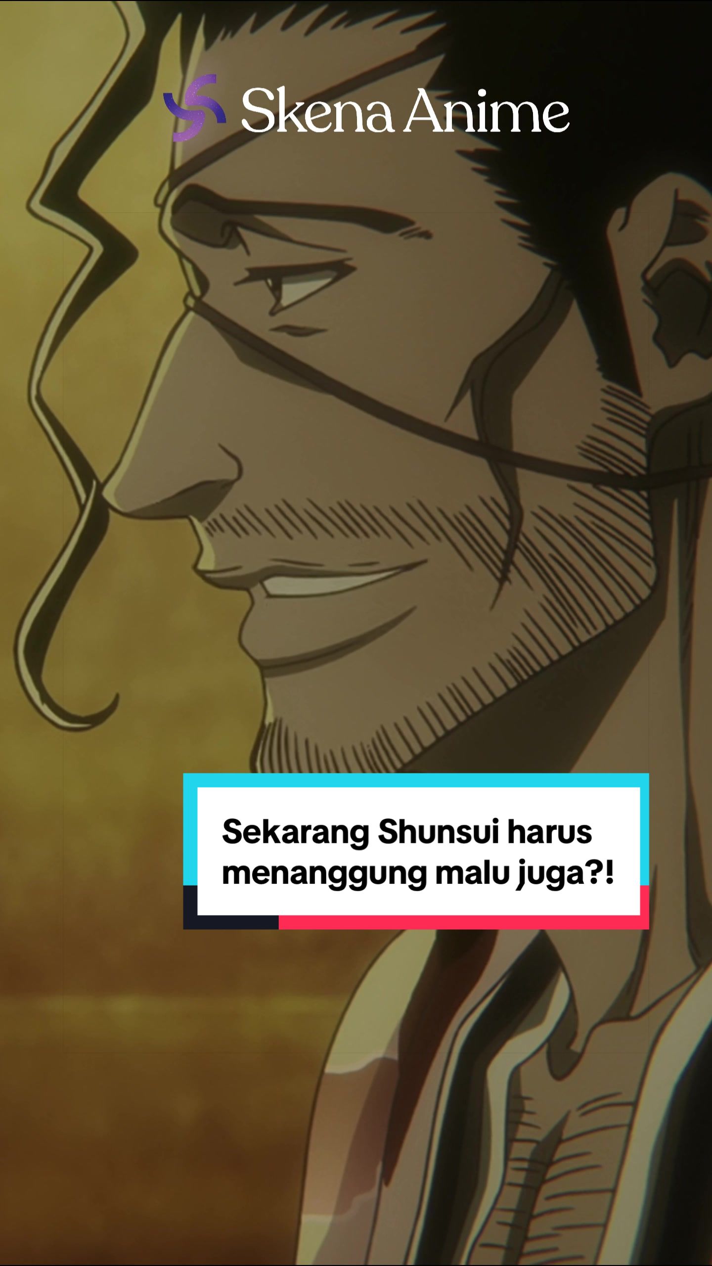 @SkenaAnime