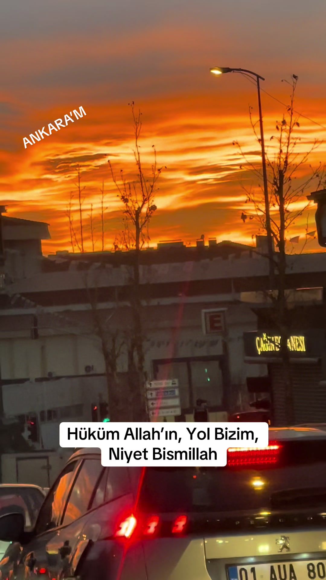 @Muhabbetegel