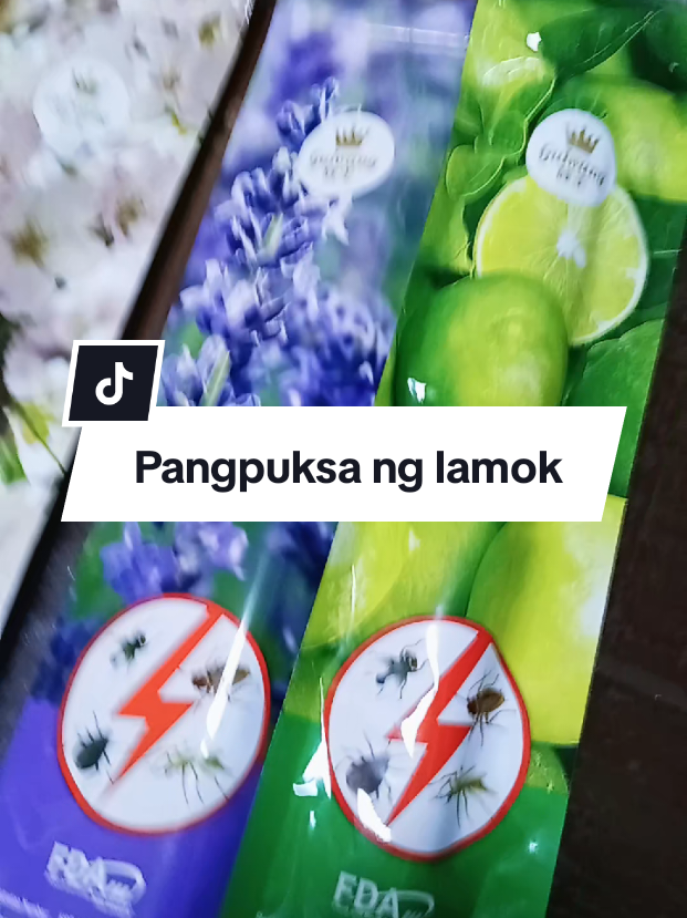 @inday alicia