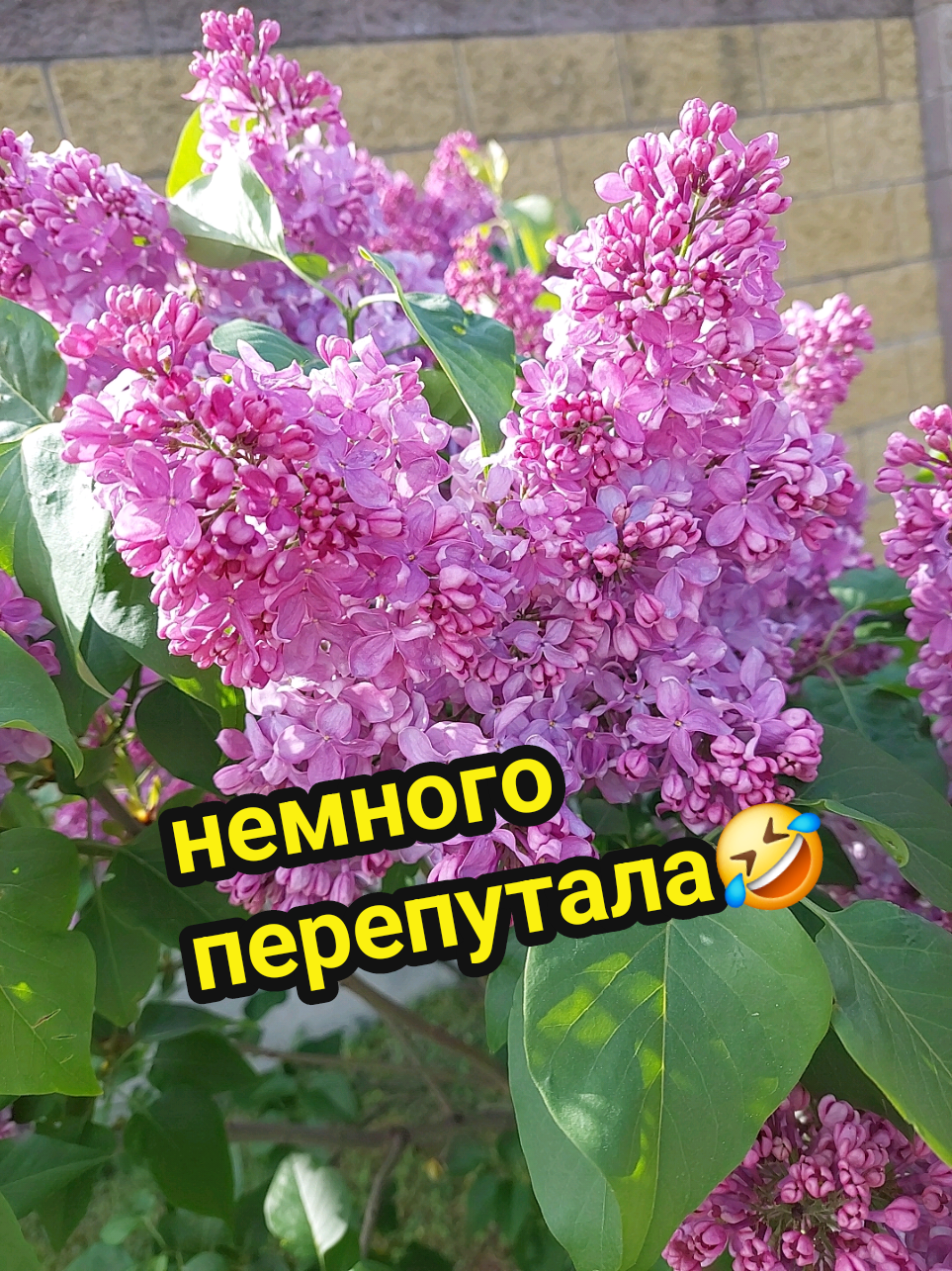 @Рыся✔️🇧🇾