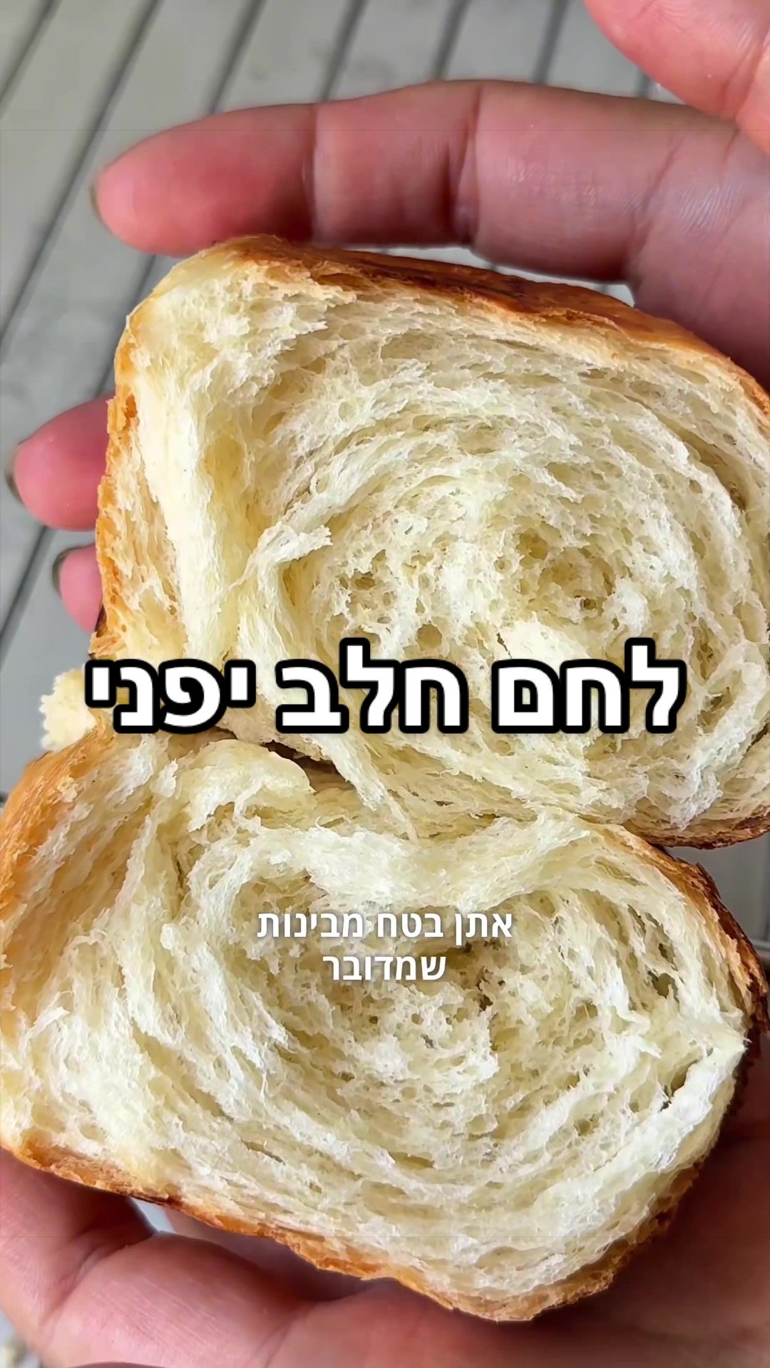 @Foody פודי