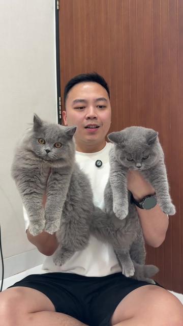 @Koko Guguk