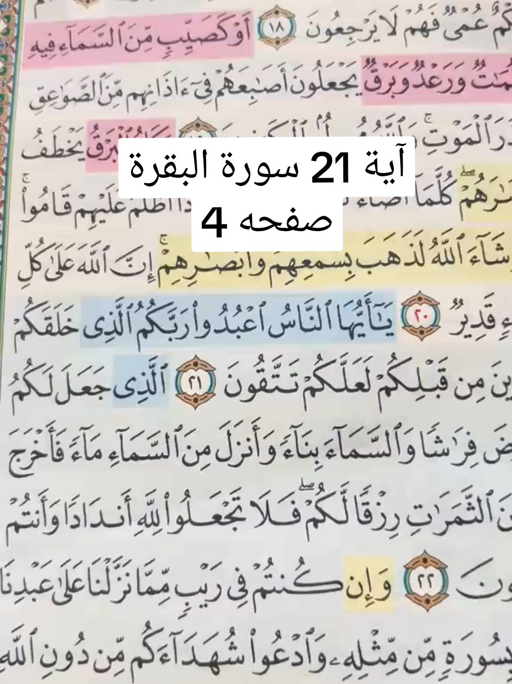 @Fadwa wawi