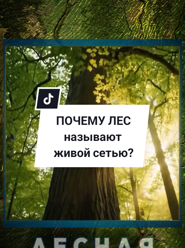 @Калейдоскоп фактов