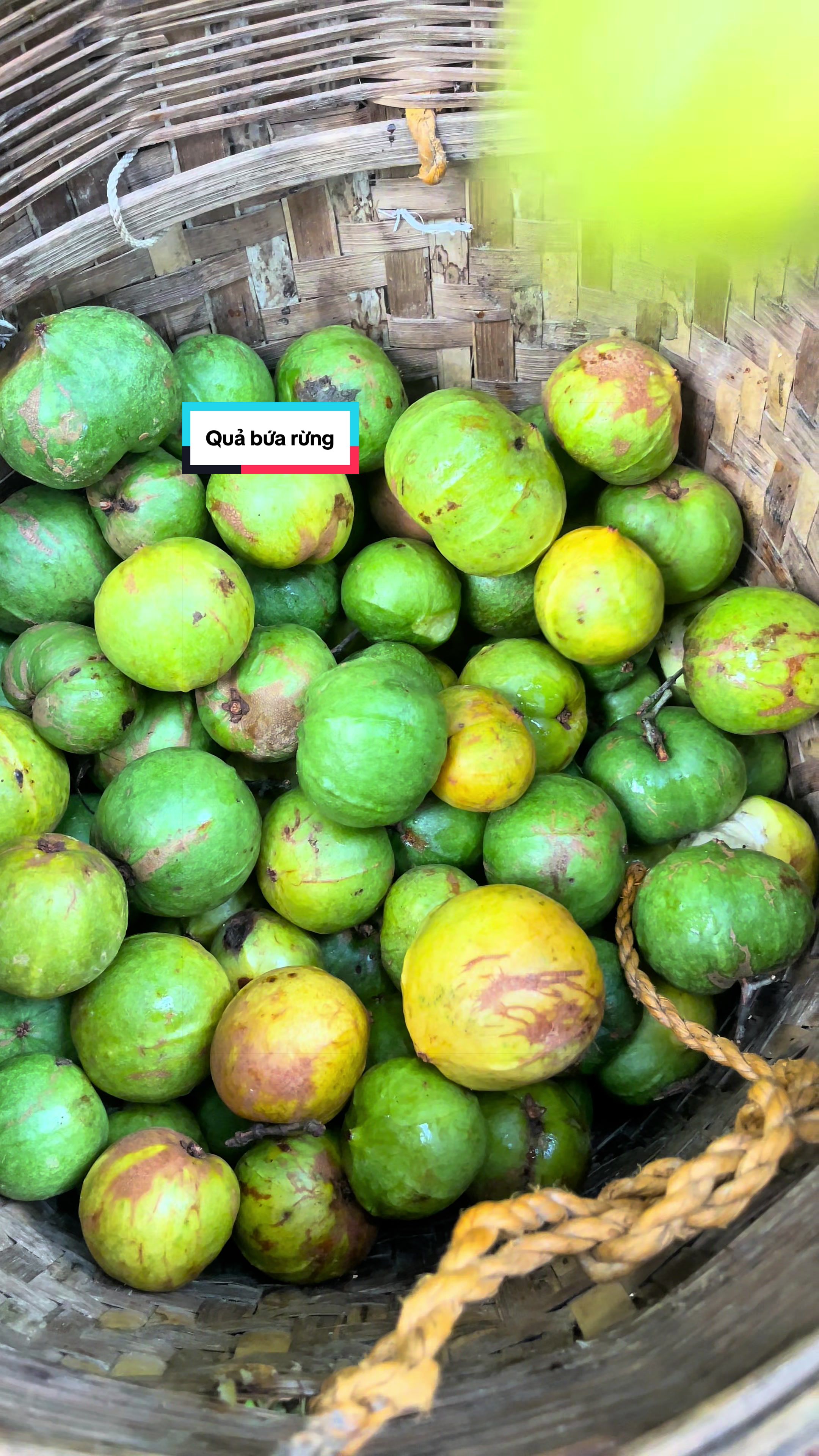 @Sửu Nhii