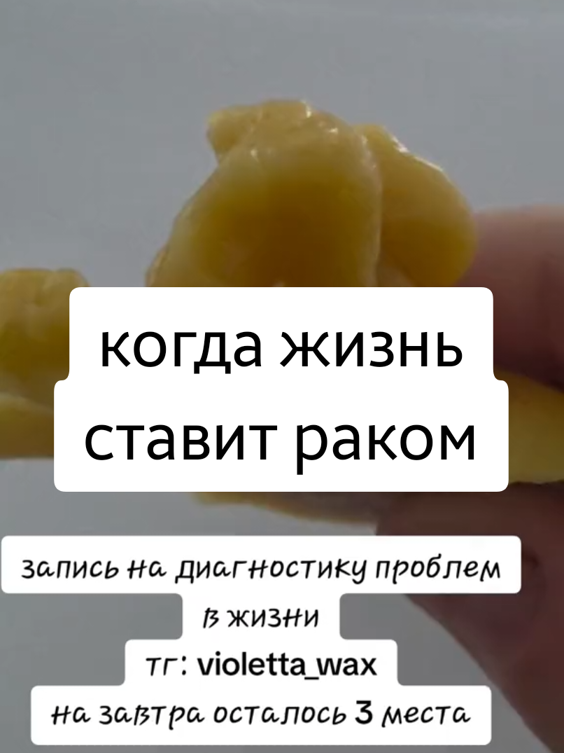 @все в ТГК: violetta_wax