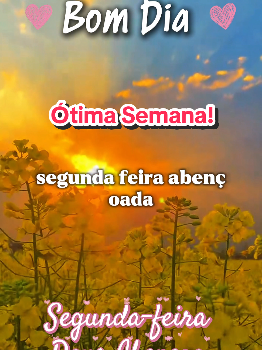 @César A. A. Santos