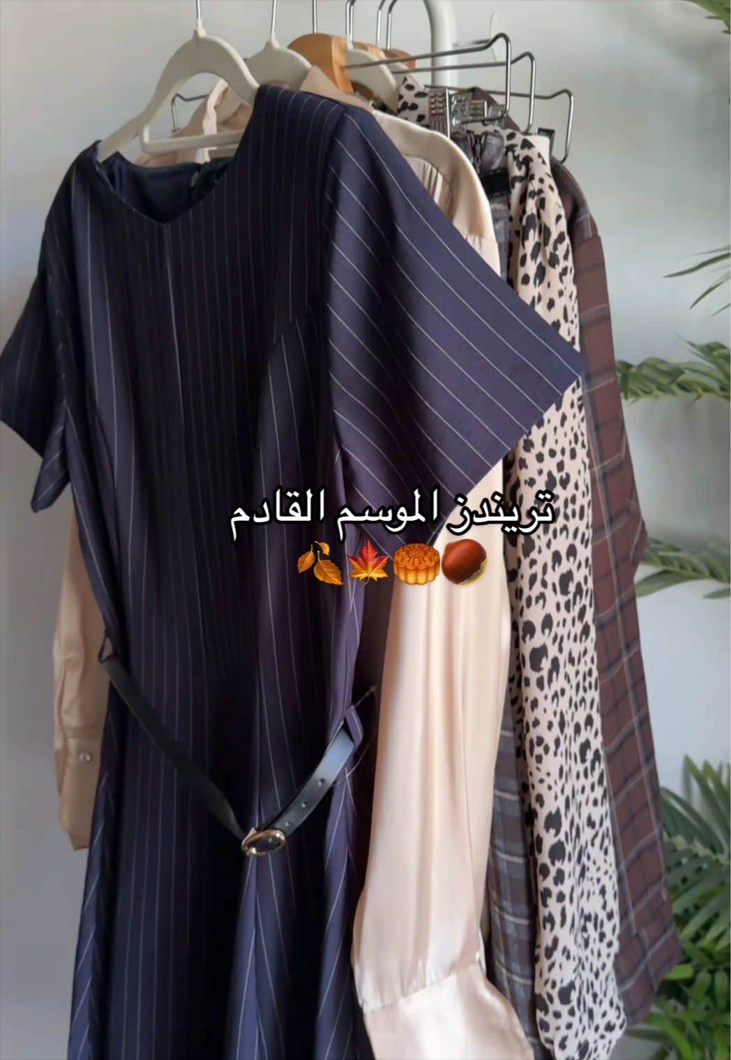 @Asma AlMalki
