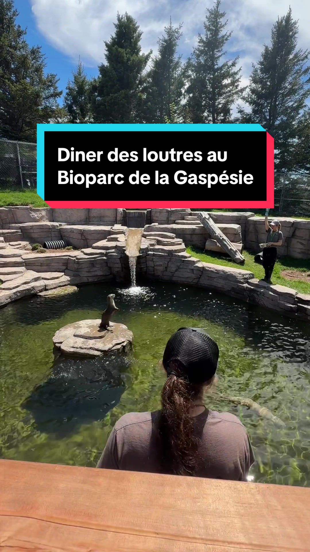 @Joanie ⚓️ Gasp&eacute;sie
