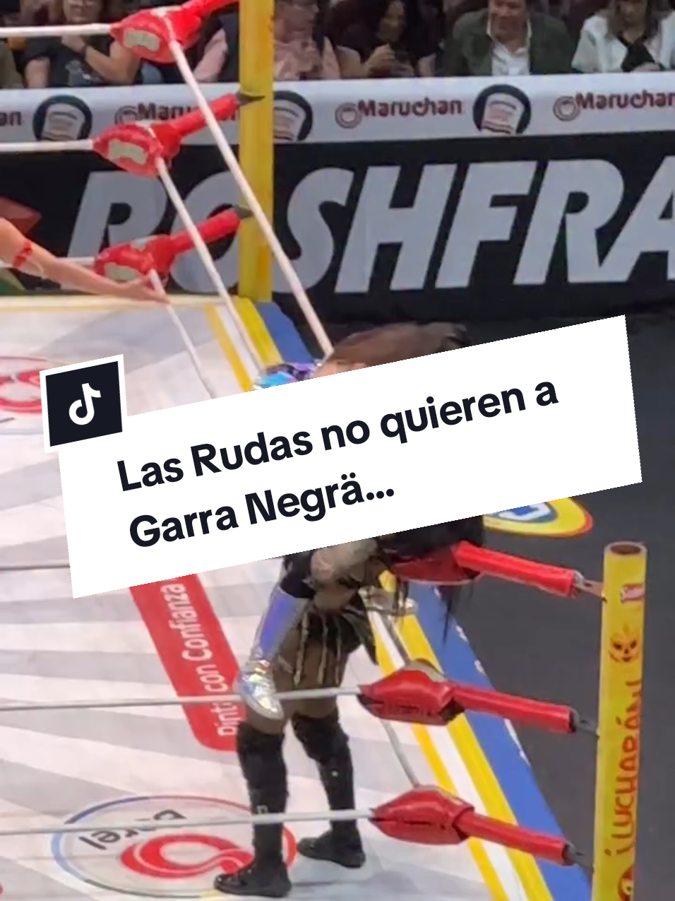 @Damas&Gladiadores Lucha Libre
