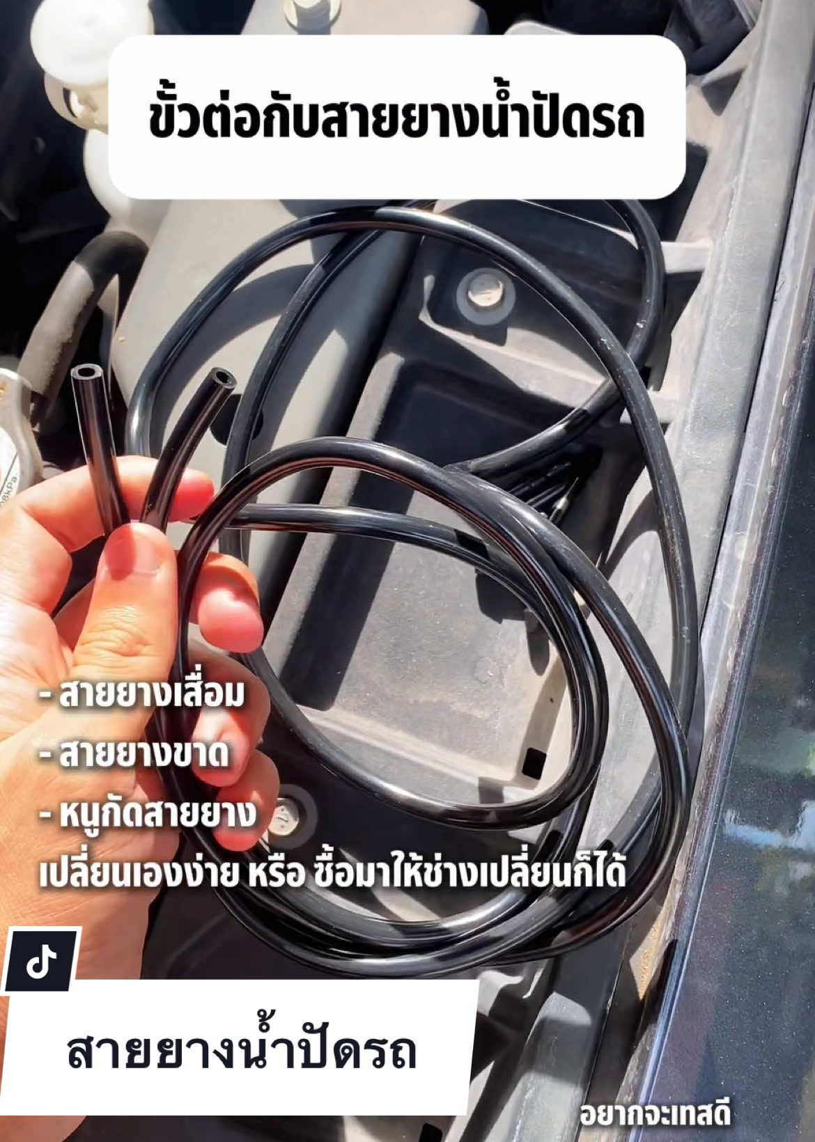 @อยากจะเทสดี