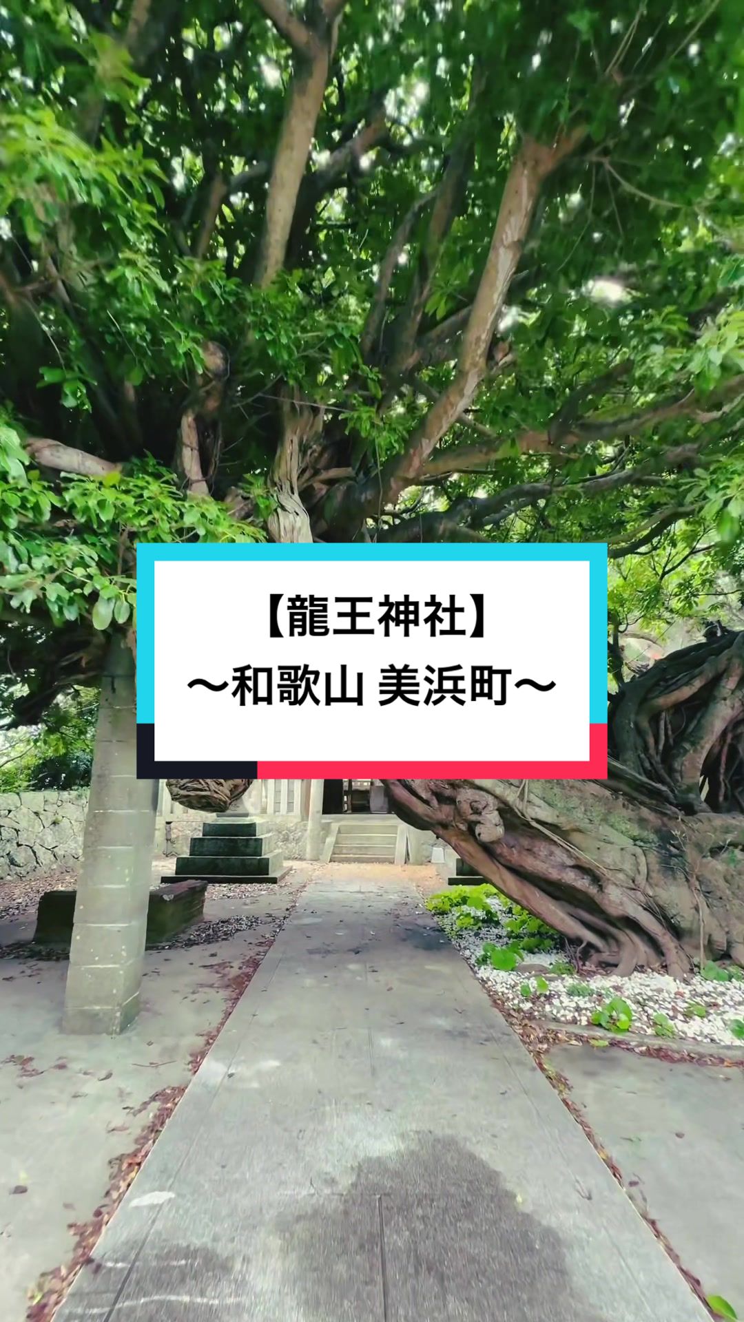 @開運きむにぃ