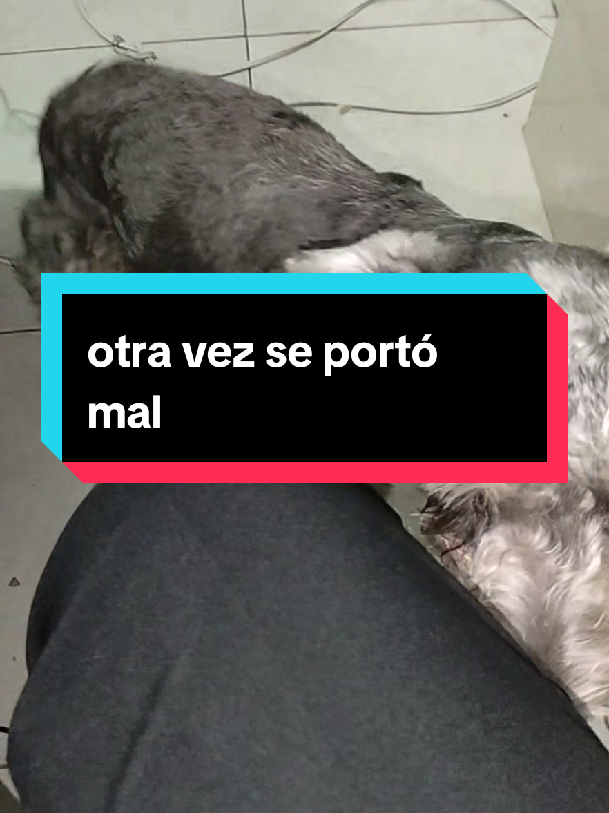 @Wanda Maxwell