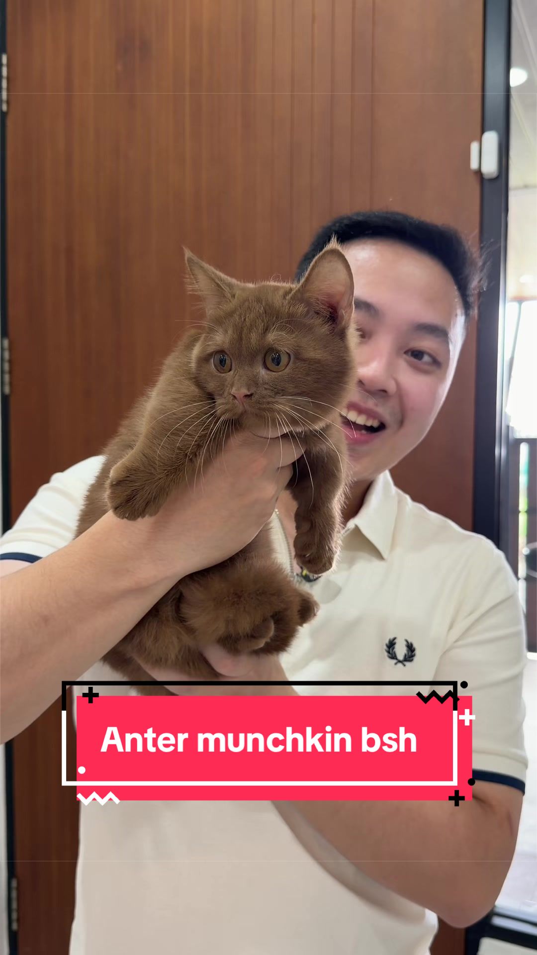 @Koko Guguk