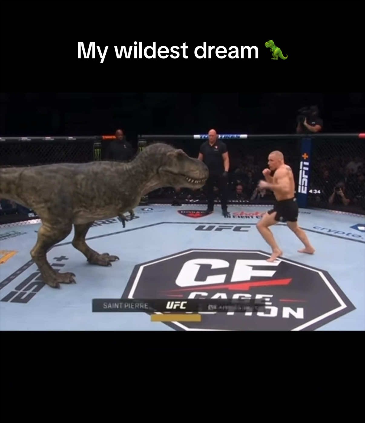 @Georges St-Pierre