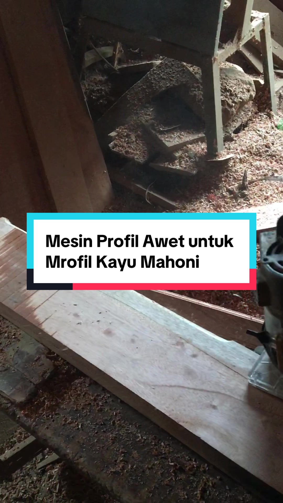 @Bos Kayu