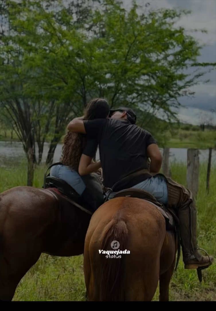 @forr&oacute; de vaquejada