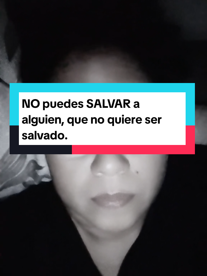 @Laura Panda