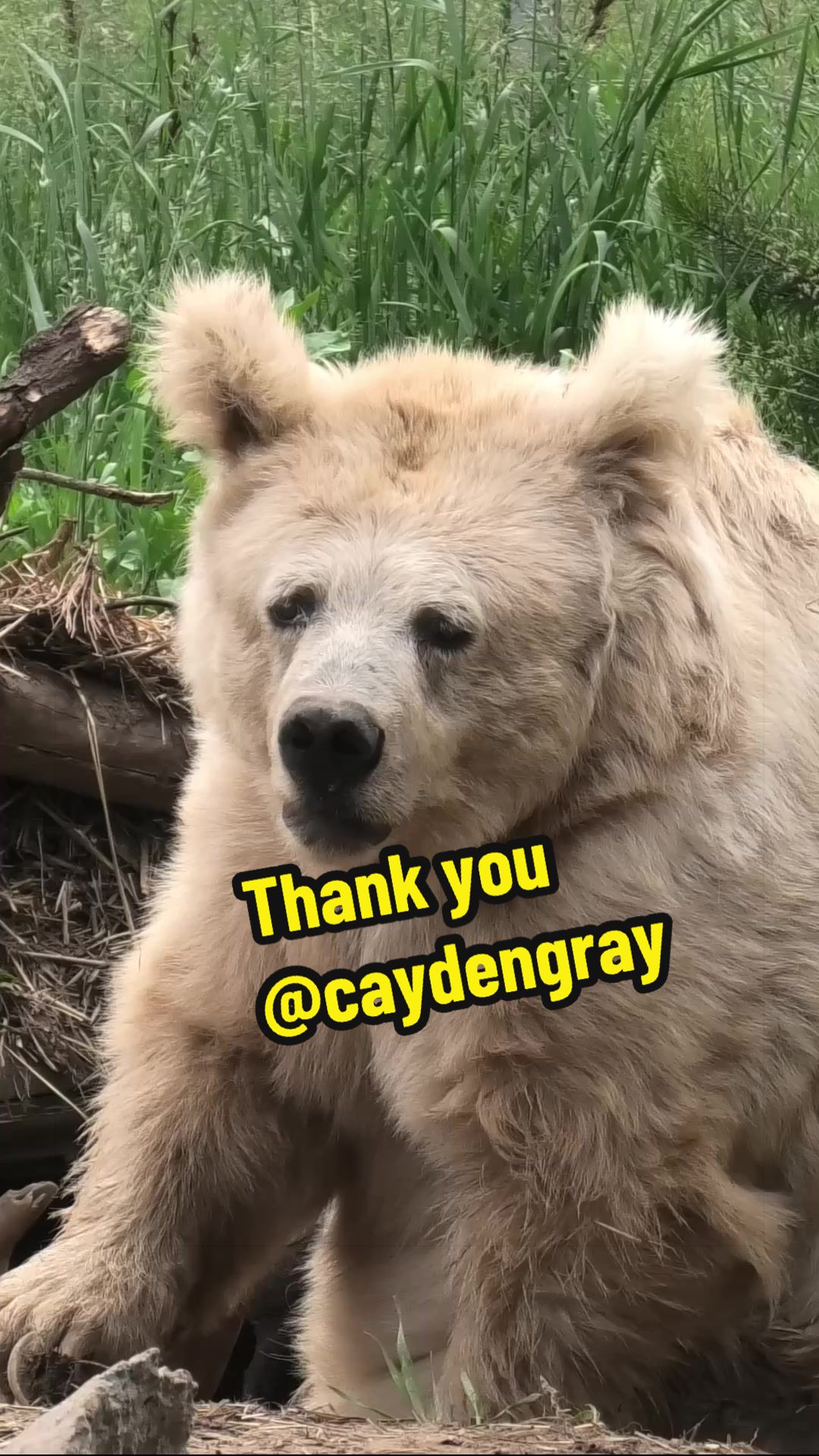 @Whiterock.savewildfund