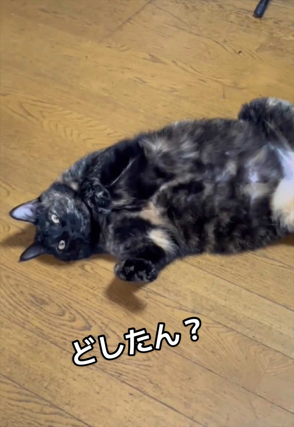 @聴々物語PROJECT