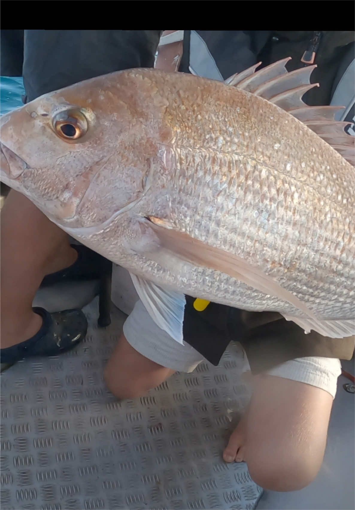 @.ccfishing
