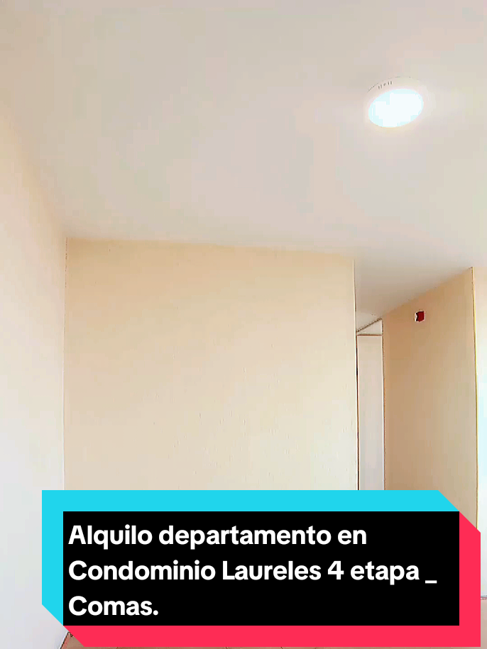 @Mercedes Curinuqui