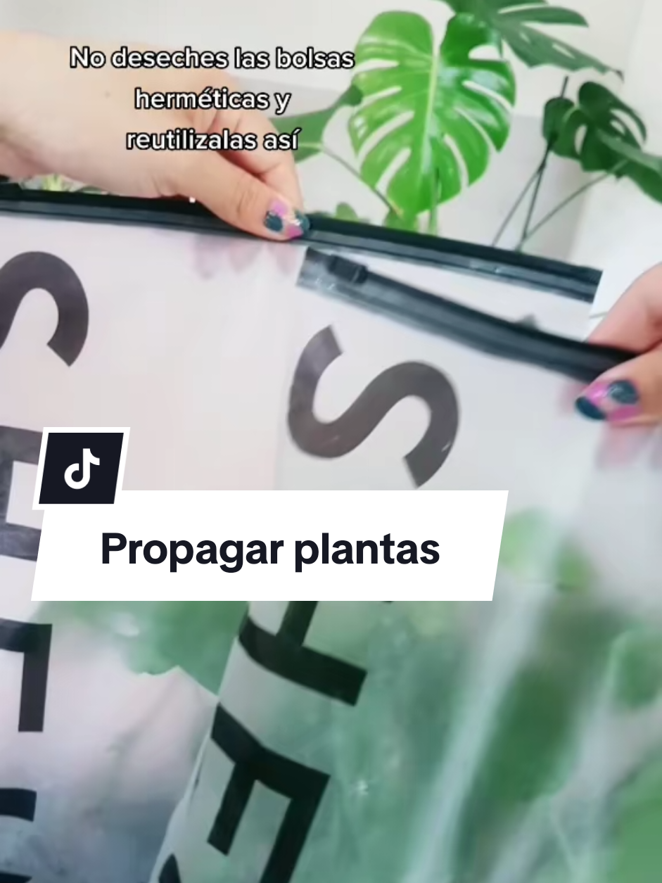 @Plantología🌿