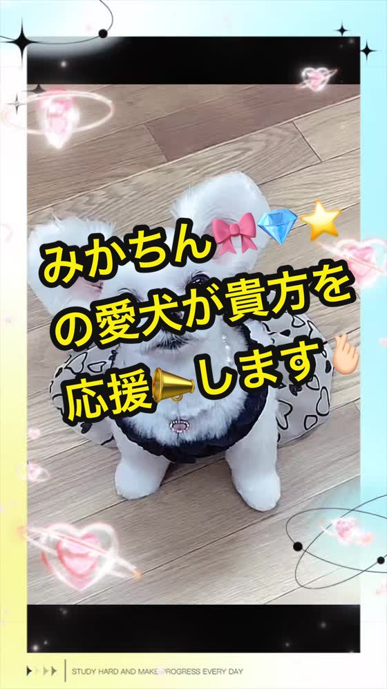 @𑁍︎&middot;͜&middot;えりぽんꫂ&nbsp;ၴႅၴ