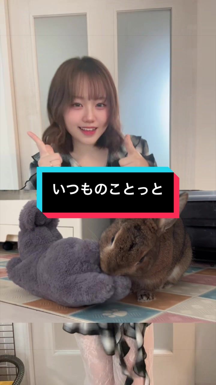 @さーちゃん🍩わらつぶ🐰
