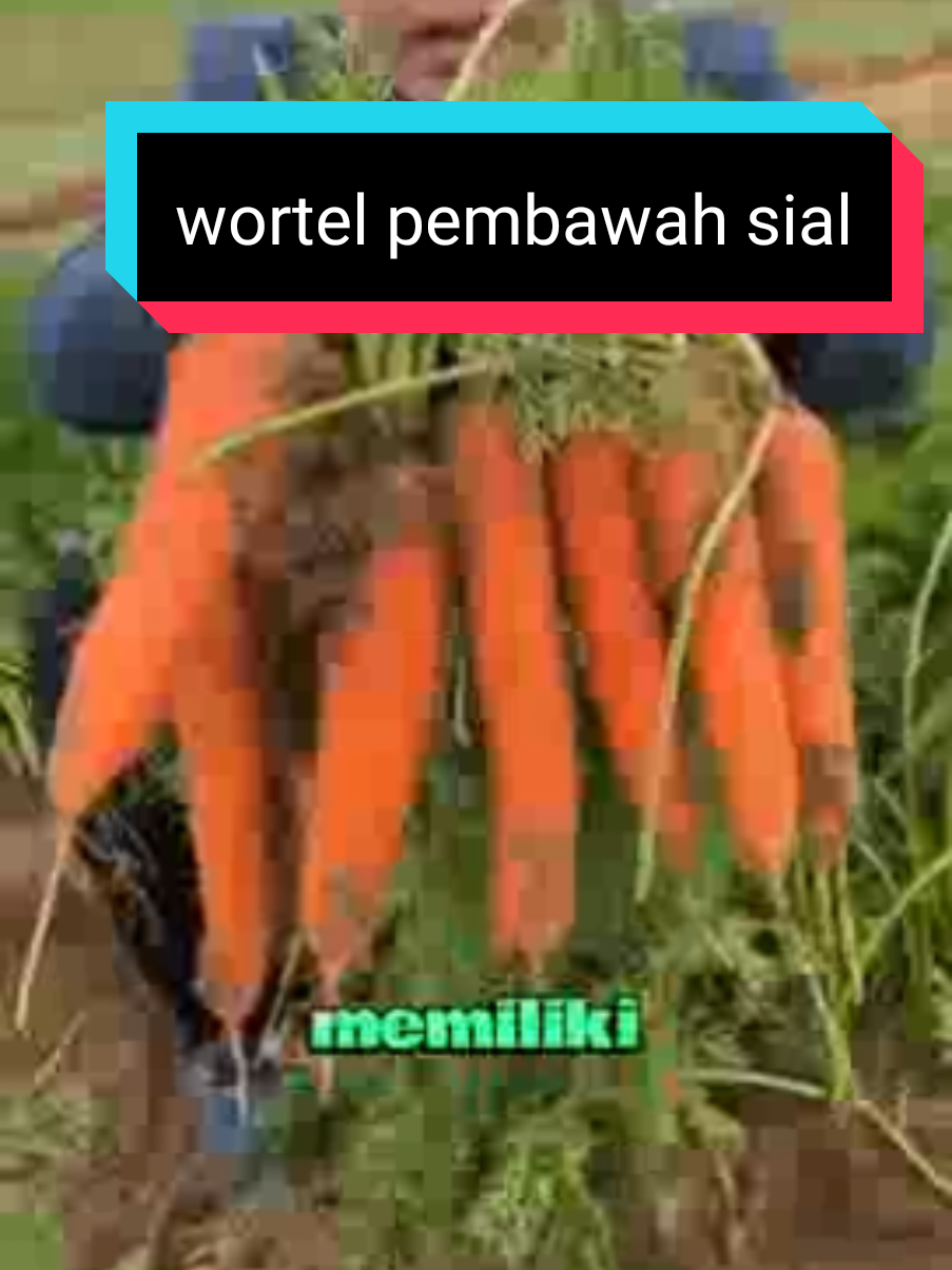 @hanzz Ackerman