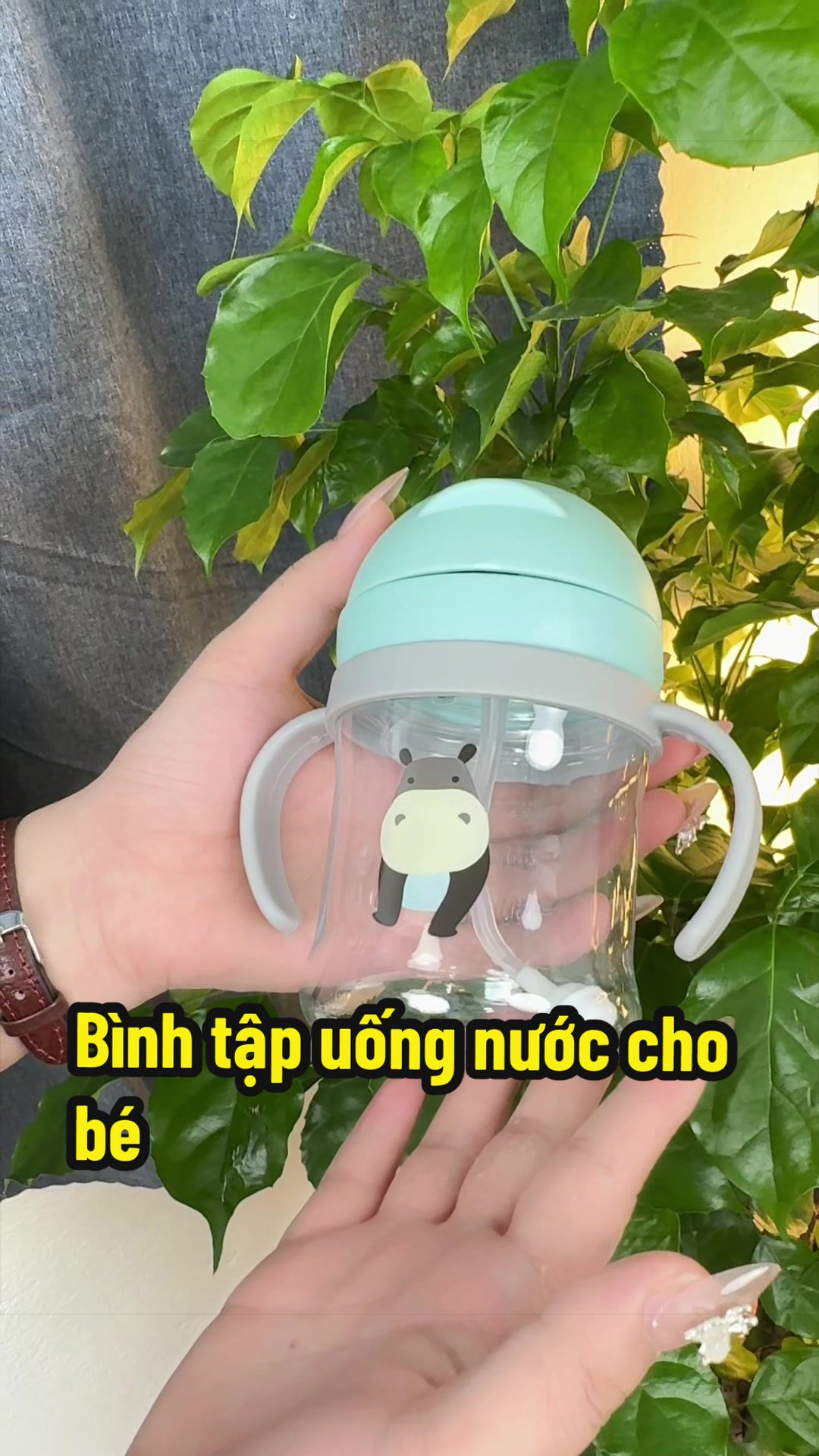 @MOLA SƠ SINH