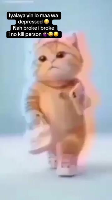 @𝕄𝕣 𝔸𝕂𝔸ℕ𝔹𝕀💎