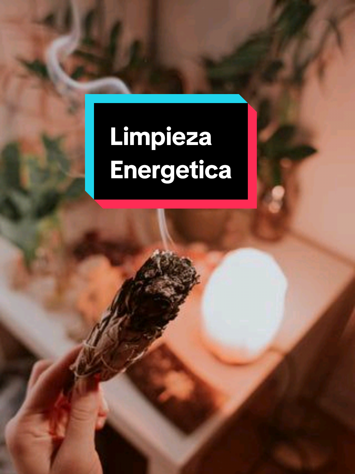 @Lulita_manifestacion🪐✅️