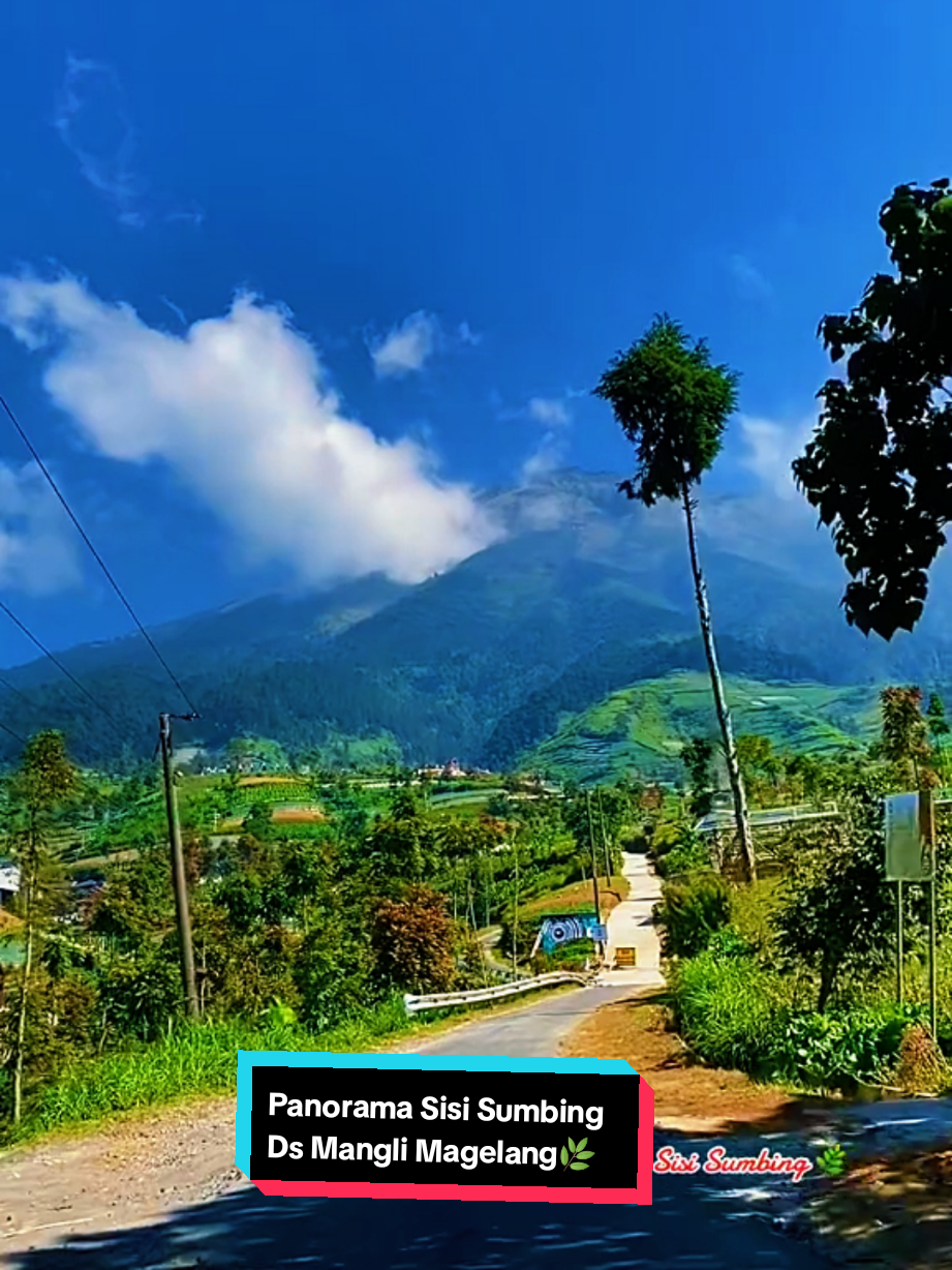 @SISI_SUMBING