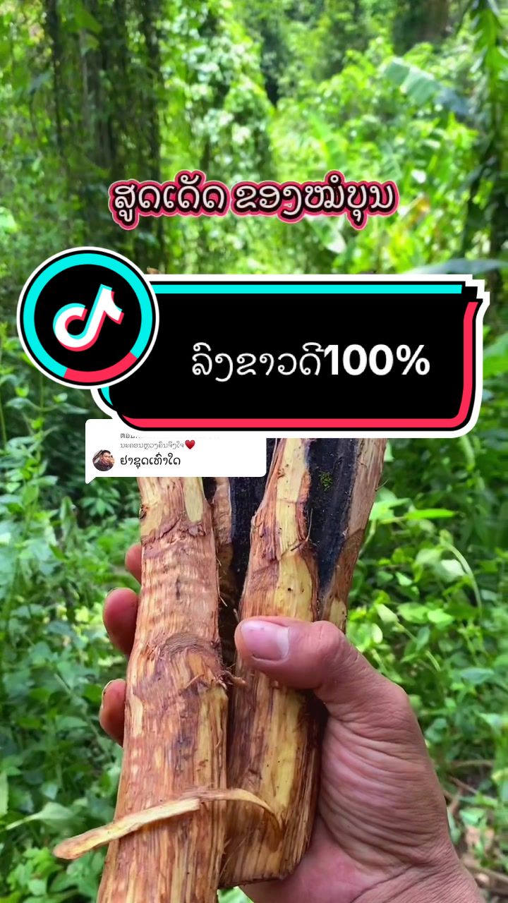 @๐ฆ เบชเบนเบเบเบปเบงเปเบฅเบเบเบดเบ-เบเบฒเบ๐ฅ๐ฟ