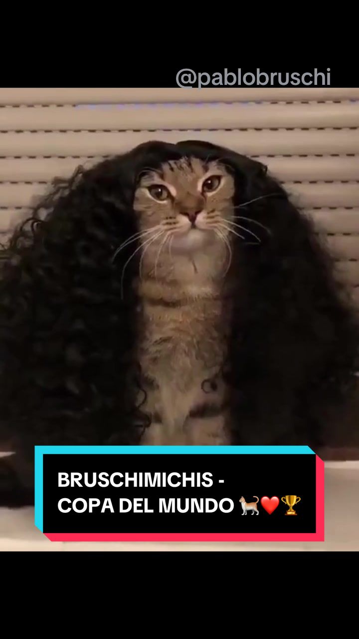 @Pablo Bruschi