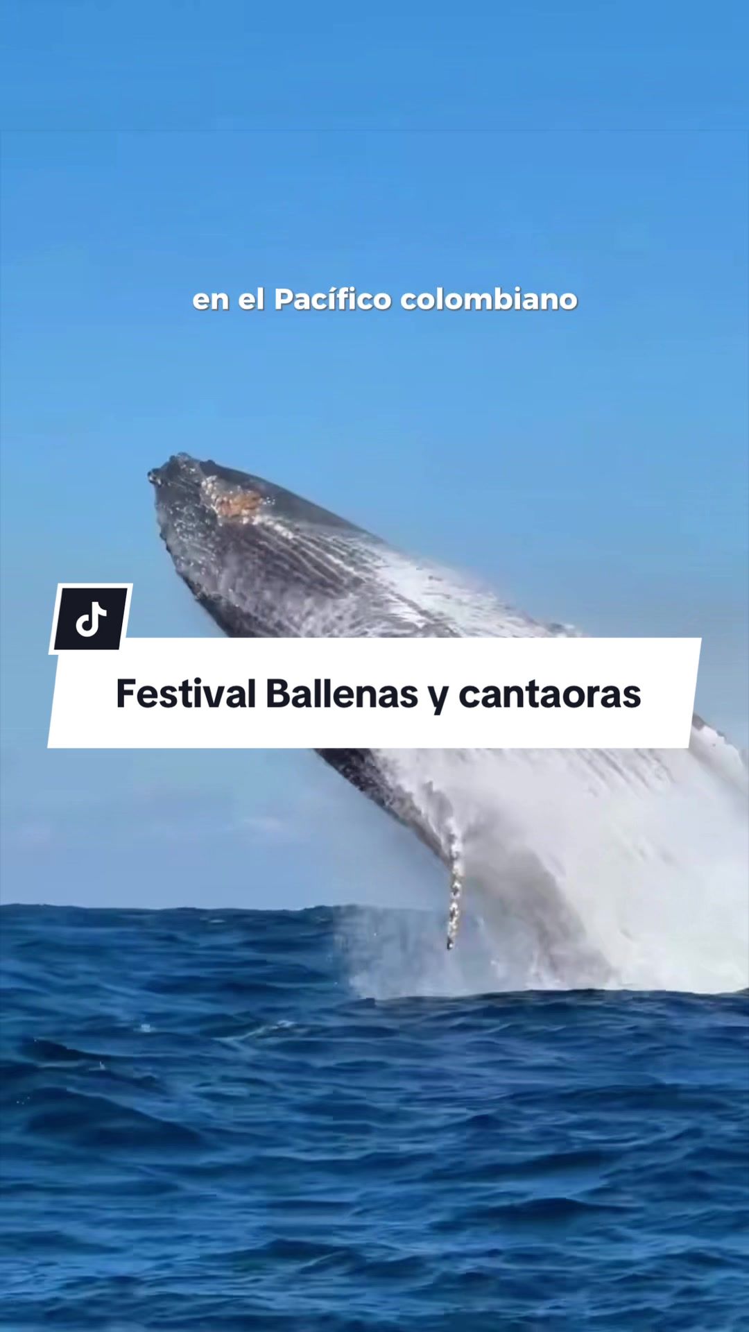 @Juan Palacio | Viajero